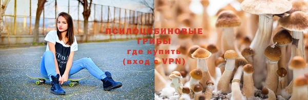 МДПВ Дмитров
