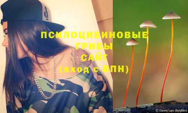 МДПВ Дмитров